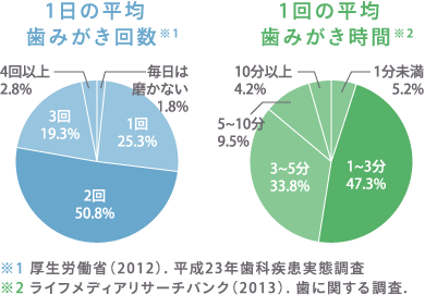 引き締まった健康な状態へ